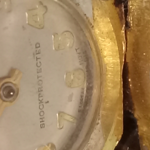 Gold Beetle Watch - Picture 10 of 11